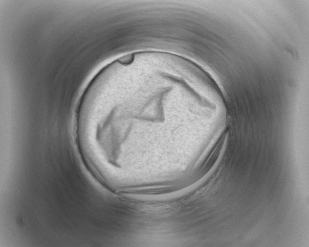 X0000116551531201001071106