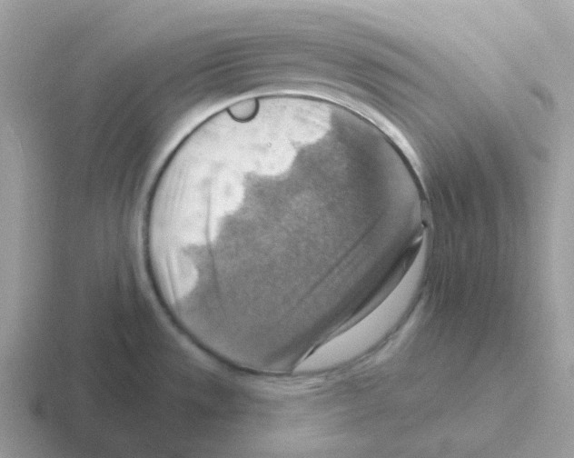 X0000116551533201001071106