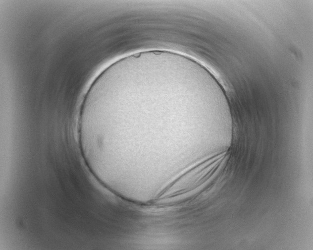 X0000116551535201001071106