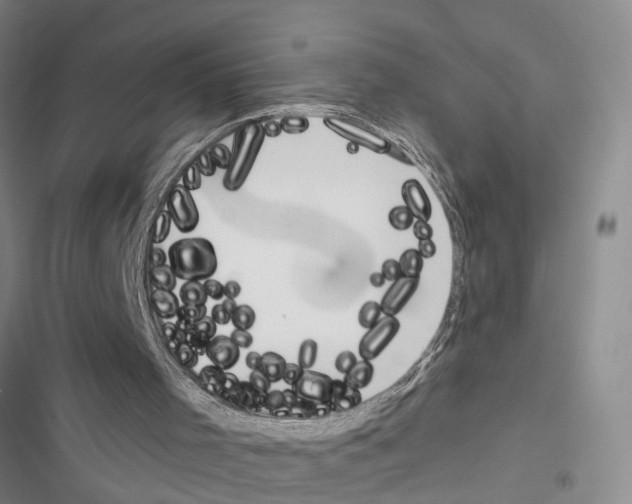 X0000116550001201001211211