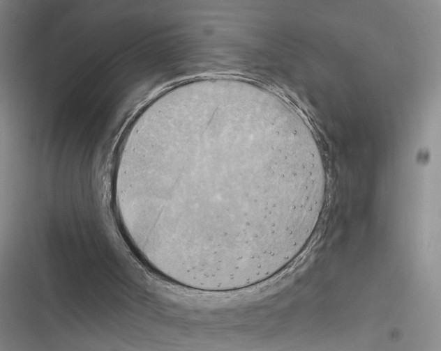 X0000116550002201001211211