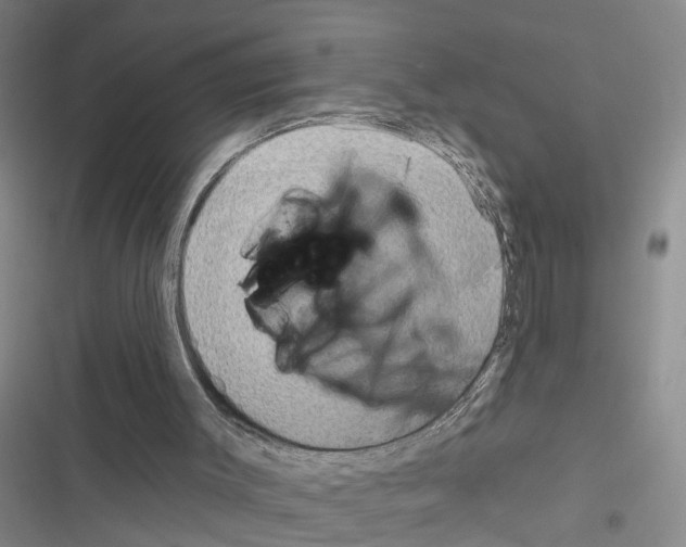 X0000116550003201001211211