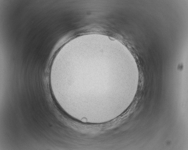 X0000116550004201001211211