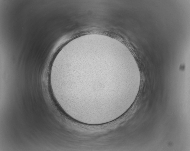 X0000116550006201001211211