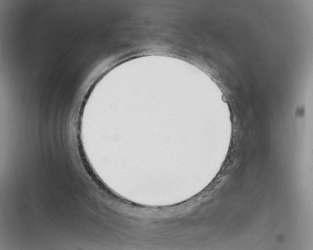 X0000116550007201001211211