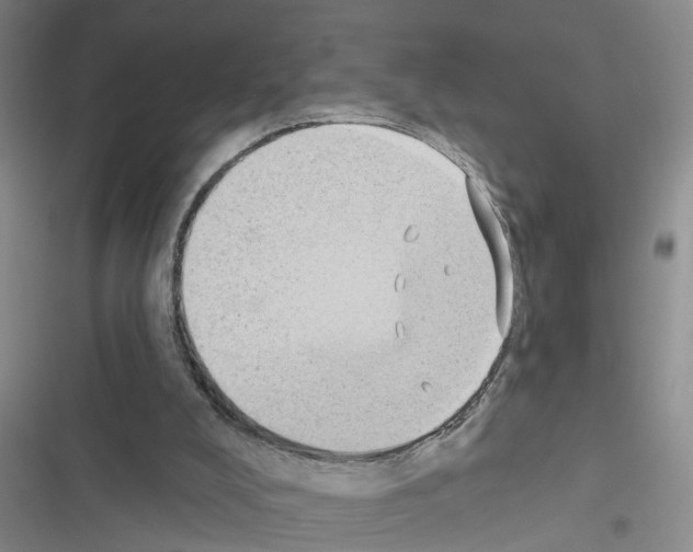 X0000116550008201001211211