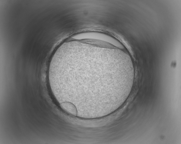 X0000116550010201001211211