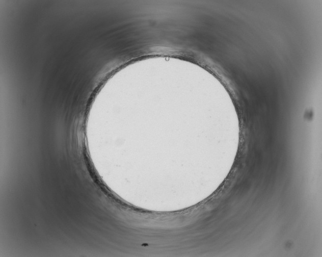 X0000116550011201001211211