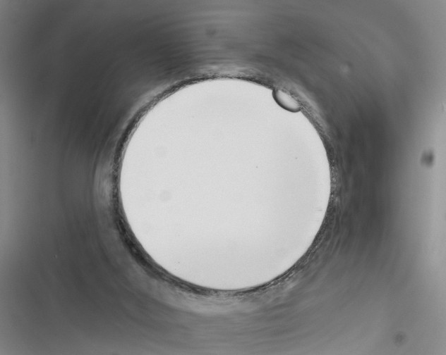 X0000116550012201001211211