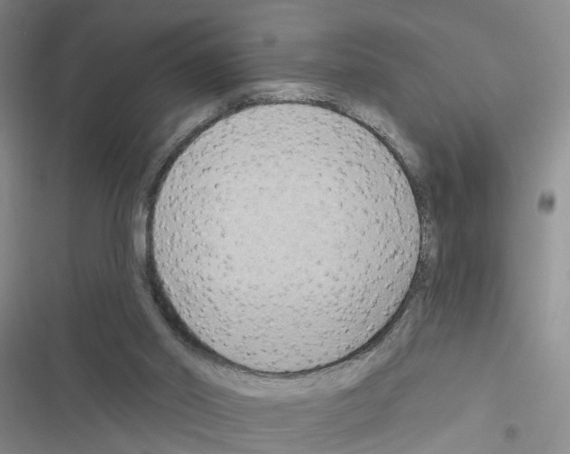 X0000116550014201001211211