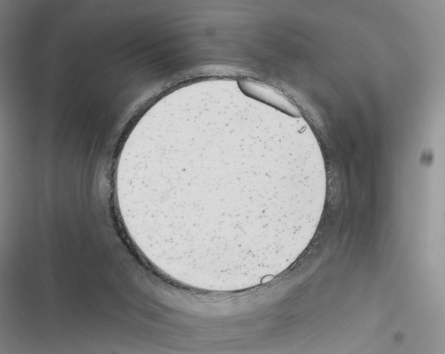 X0000116550015201001211211