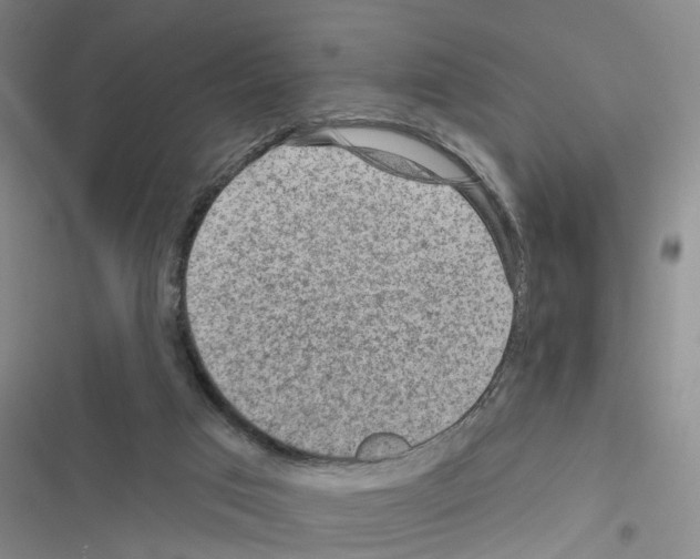 X0000116550017201001211211