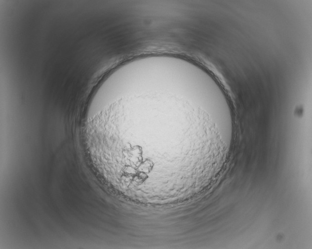 X0000116550019201001211211