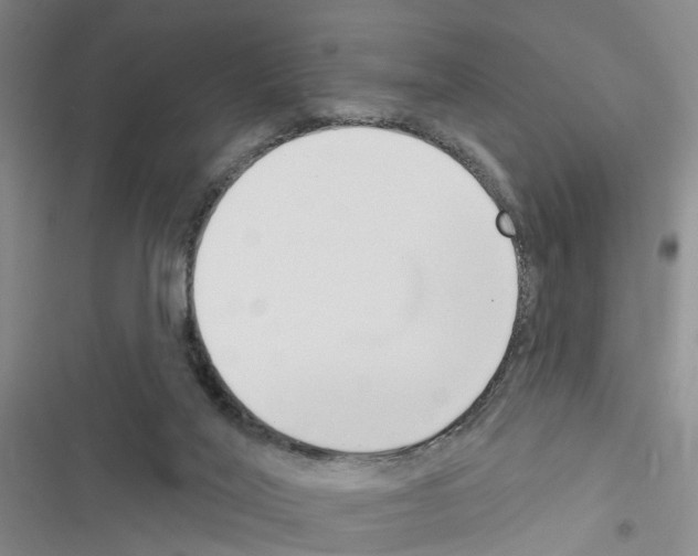 X0000116550020201001211211