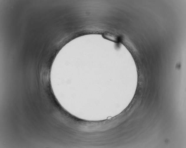 X0000116550021201001211211