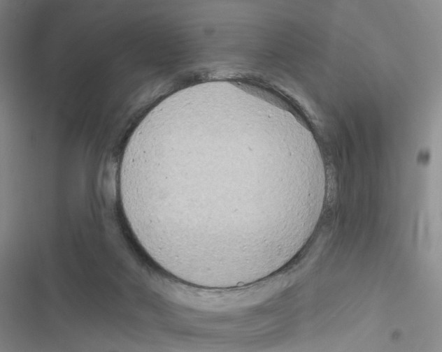 X0000116550022201001211211