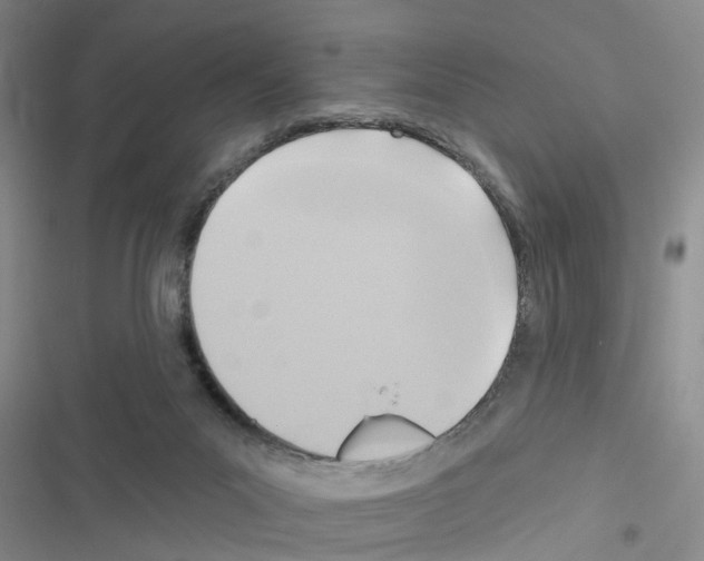 X0000116550023201001211211