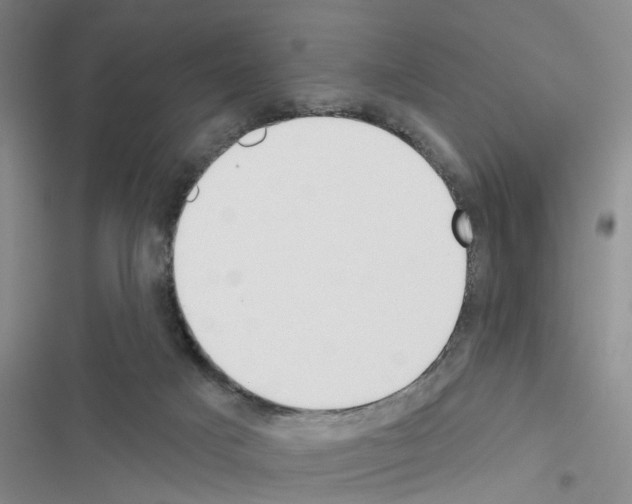 X0000116550025201001211211