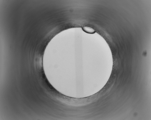 X0000116550027201001211211