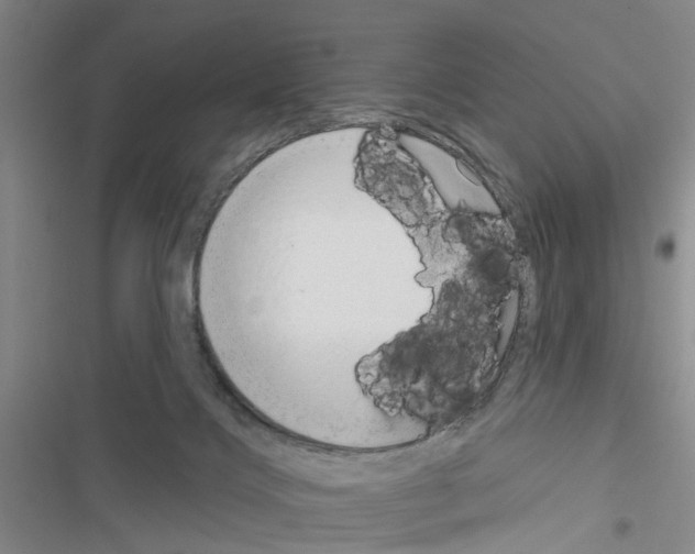 X0000116550028201001211211