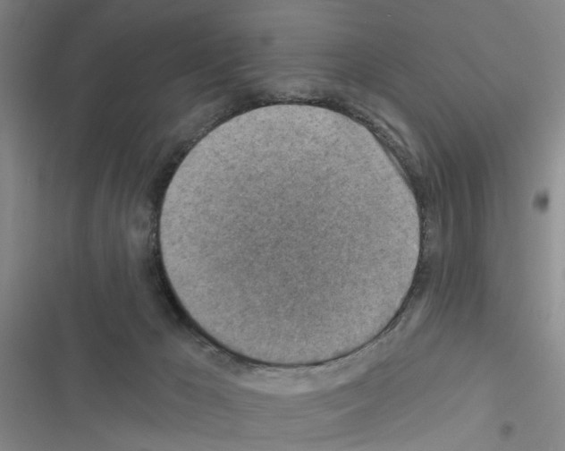 X0000116550029201001211211