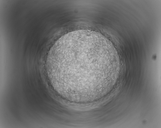 X0000116550034201001211211