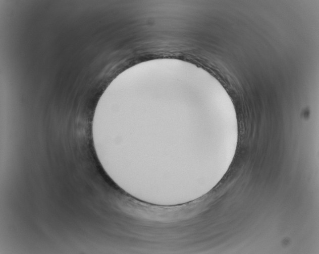 X0000116550035201001211211