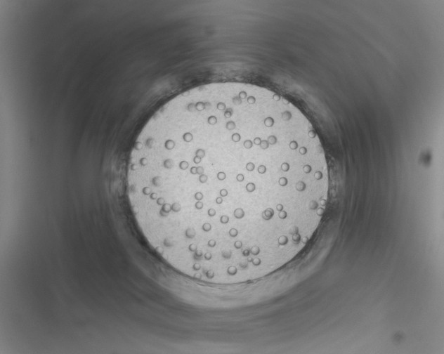 X0000116550038201001211211