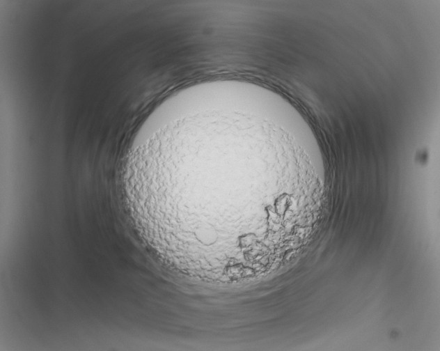 X0000116550039201001211211