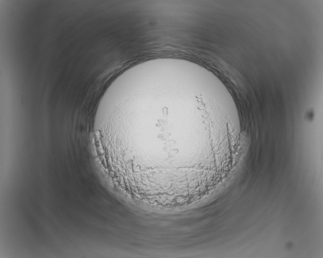 X0000116550043201001211211