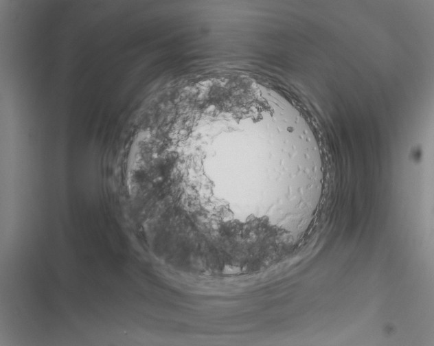 X0000116550044201001211211