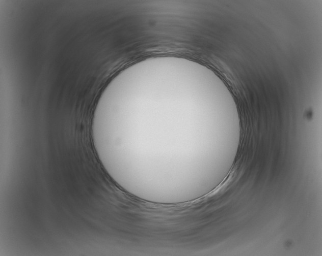 X0000116550045201001211211