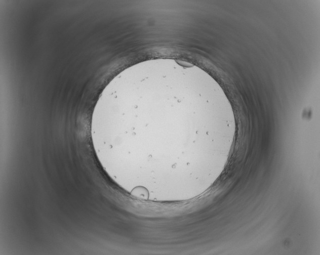 X0000116550048201001211211