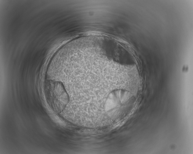 X0000116550049201001211210