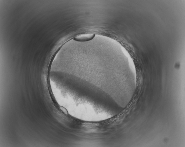 X0000116550051201001211210