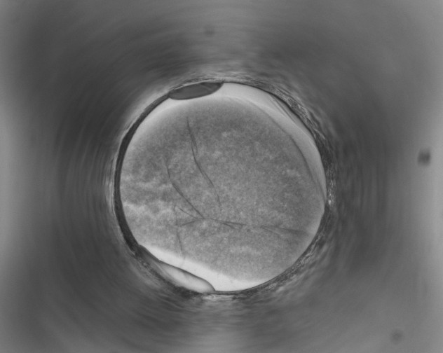 X0000116550052201001211210