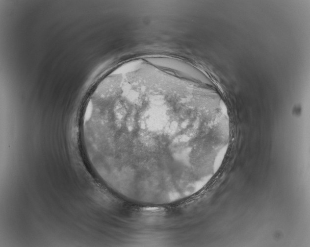 X0000116550053201001211210