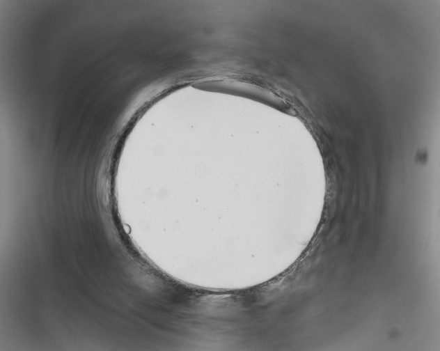 X0000116550054201001211210