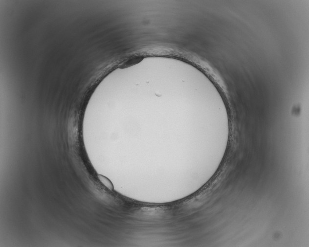 X0000116550057201001211210