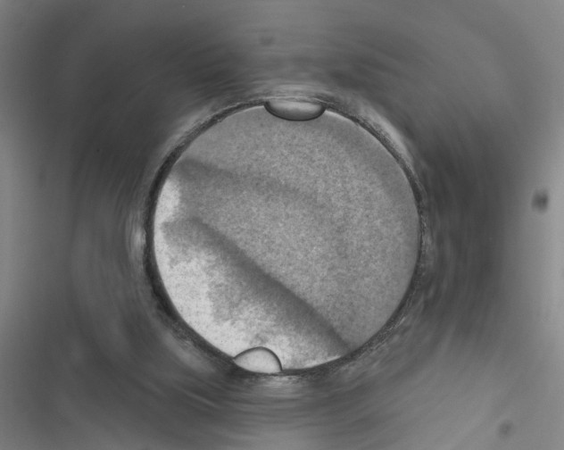 X0000116550059201001211210