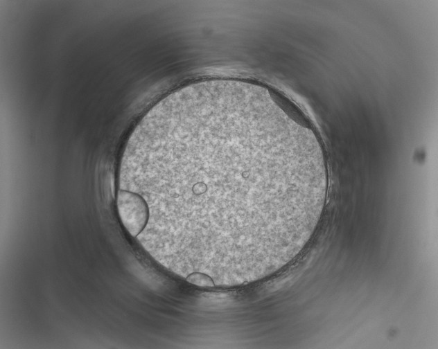 X0000116550061201001211210