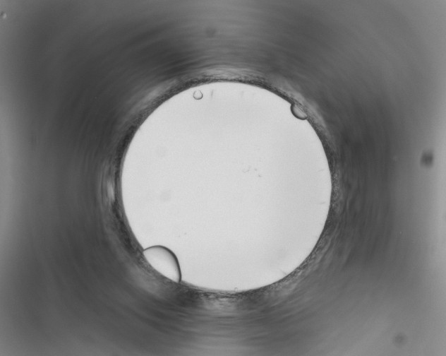 X0000116550062201001211210