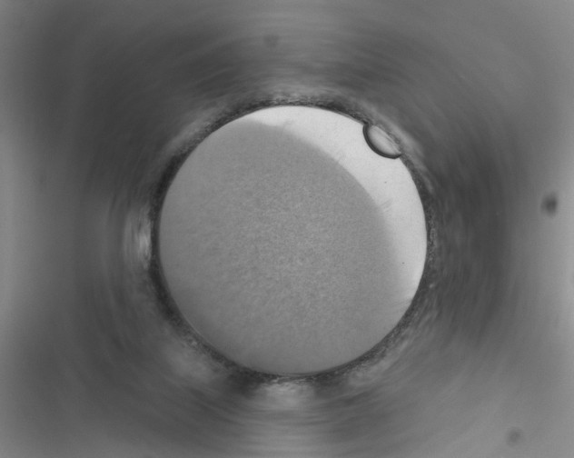 X0000116550067201001211210