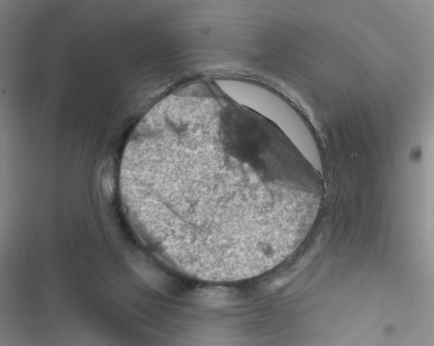 X0000116550069201001211210