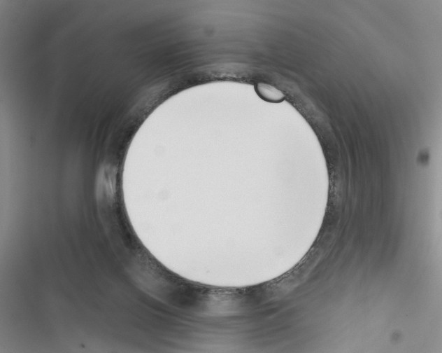 X0000116550070201001211210