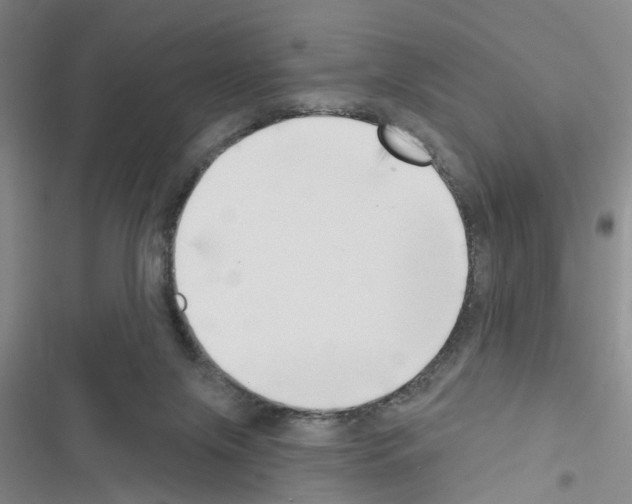 X0000116550071201001211210