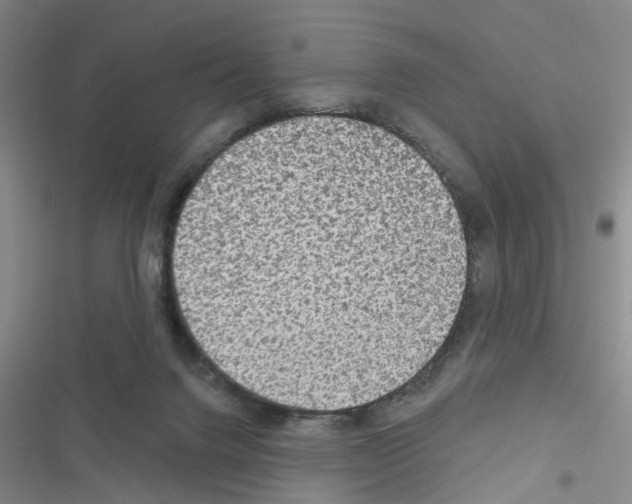 X0000116550072201001211210