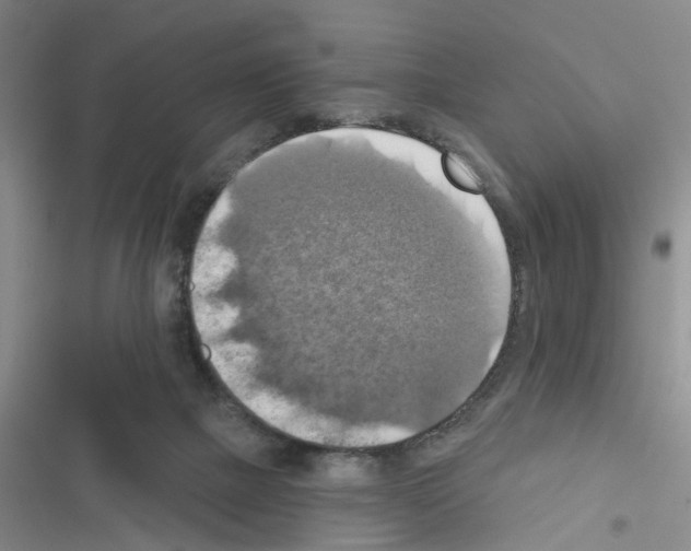 X0000116550073201001211210