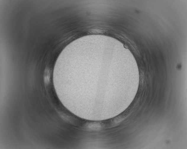 X0000116550075201001211210