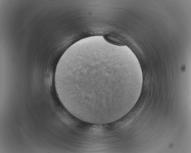 X0000116550076201001211210